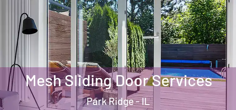 Mesh Sliding Door Services Park Ridge - IL