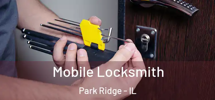 Mobile Locksmith Park Ridge - IL