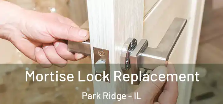 Mortise Lock Replacement Park Ridge - IL