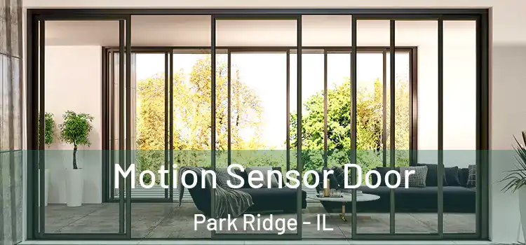 Motion Sensor Door Park Ridge - IL