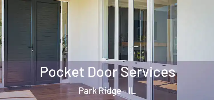 Pocket Door Services Park Ridge - IL