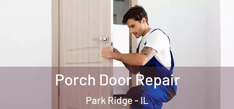 Porch Door Repair Park Ridge - IL