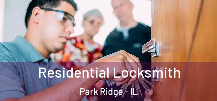 Residential Locksmith Park Ridge - IL