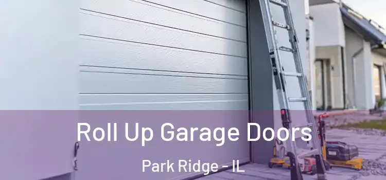  Roll Up Garage Doors Park Ridge - IL