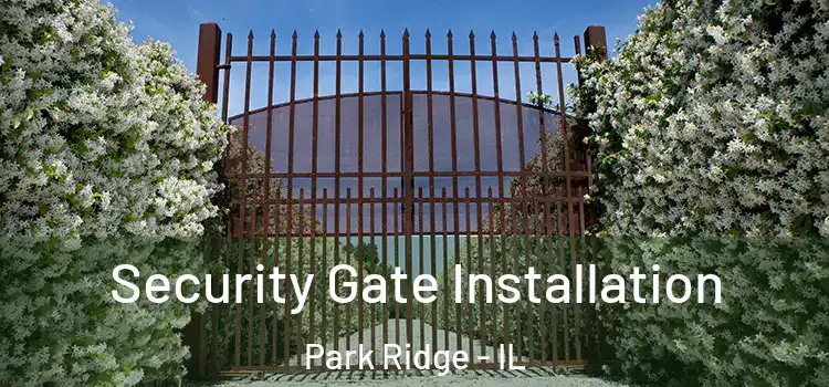 Security Gate Installation Park Ridge - IL