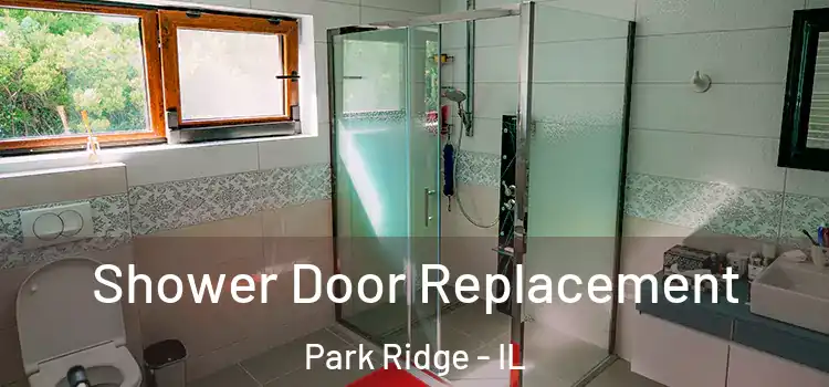 Shower Door Replacement Park Ridge - IL