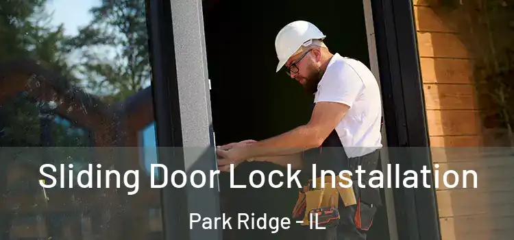 Sliding Door Lock Installation Park Ridge - IL