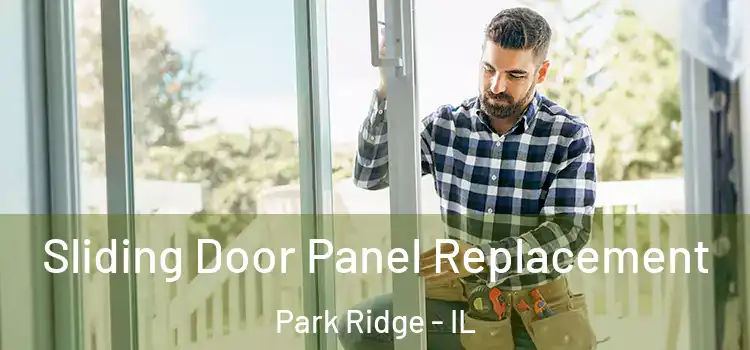  Sliding Door Panel Replacement Park Ridge - IL