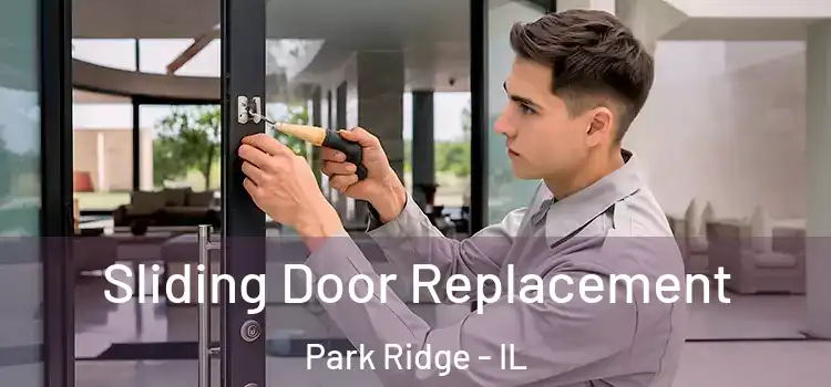 Sliding Door Replacement Park Ridge - IL