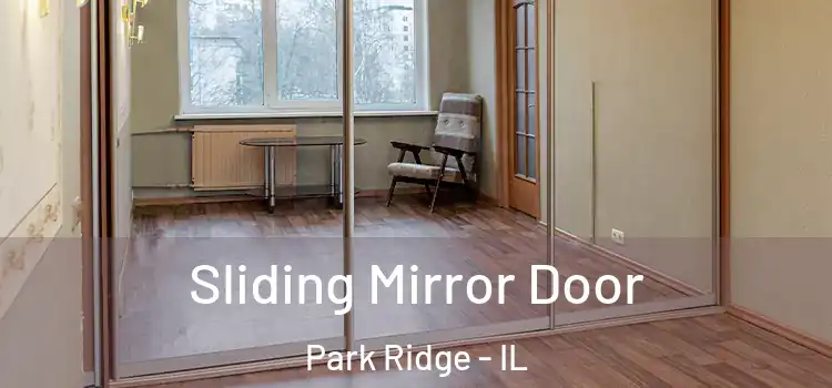  Sliding Mirror Door Park Ridge - IL