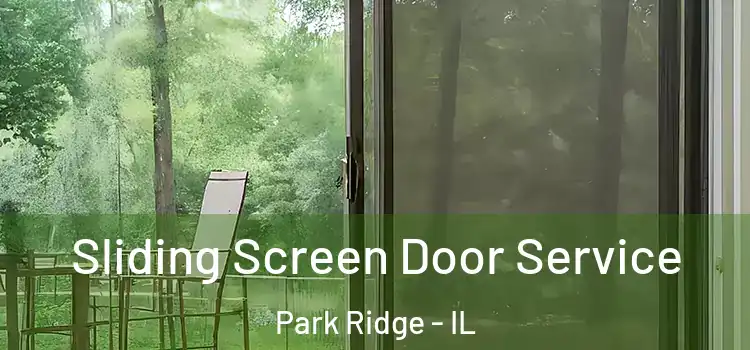 Sliding Screen Door Service Park Ridge - IL
