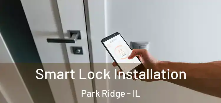 Smart Lock Installation Park Ridge - IL