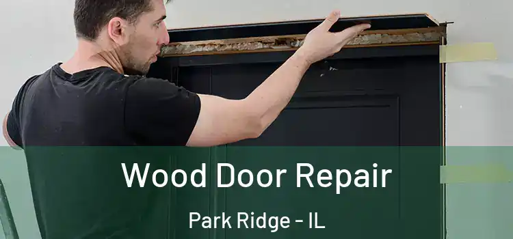 Wood Door Repair Park Ridge - IL
