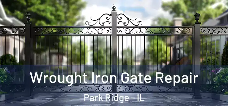 Wrought Iron Gate Repair Park Ridge - IL
